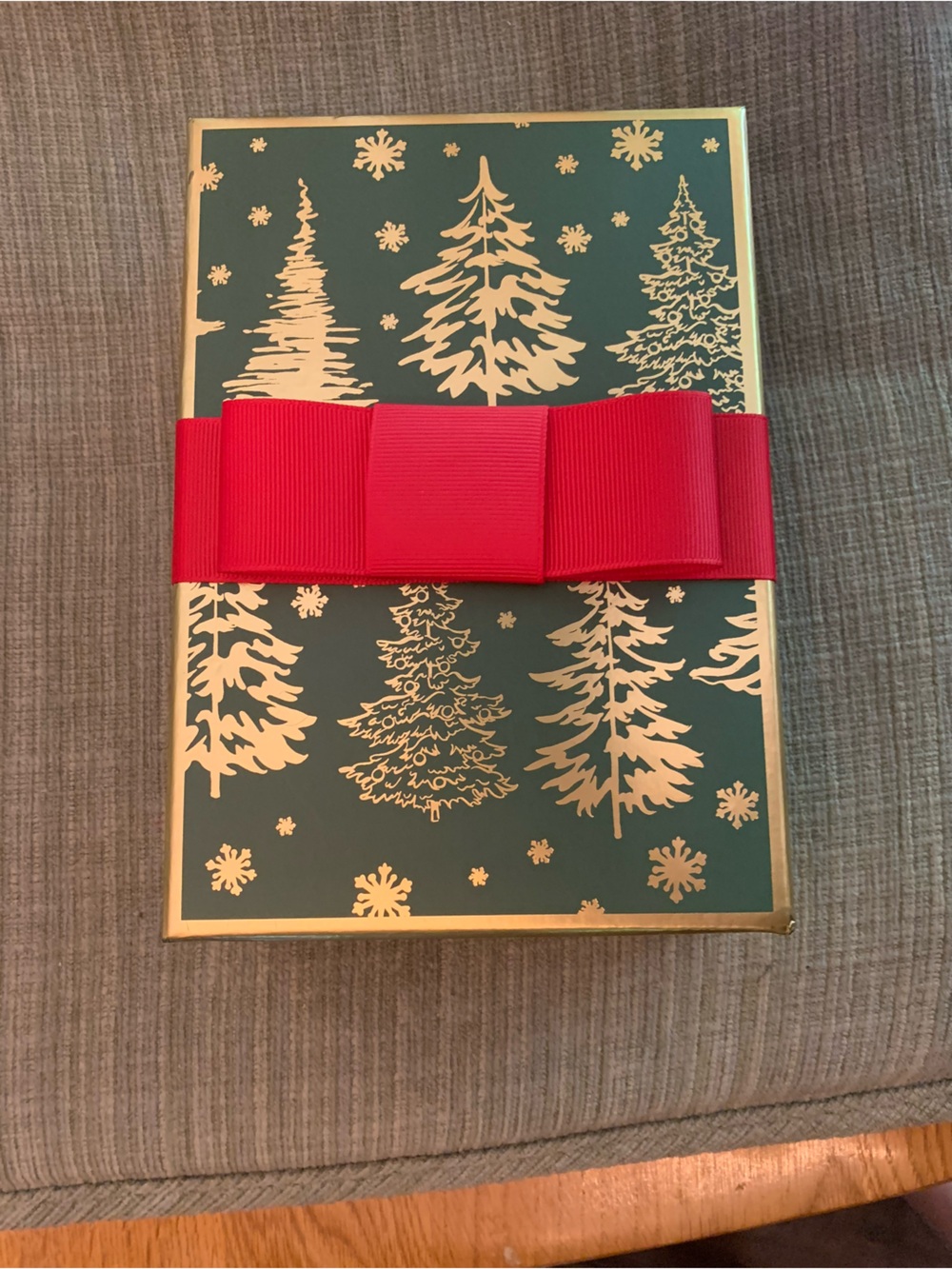 Festive Green Holiday Gift Box with Red Bow